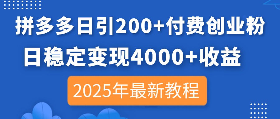 (14217期)拼多多日引200+付费创业粉,日稳定变现4000+收益,2025年最新教程-任性资源网