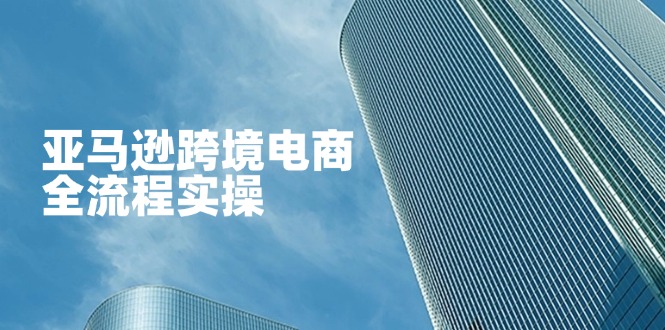(14252期)亚马逊跨境电商全流程实操,教你从零开始,掌握店铺运营与广告技巧-任性资源网