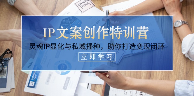 (14330期)IP文案创作特训营,灵魂IP显化与私域播种,助你打造变现闭环(14节课)-任性资源网