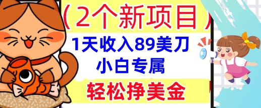 2个新项目,轻松挣美金, 1天收入89美刀,小白专属,干货分享-任性资源网