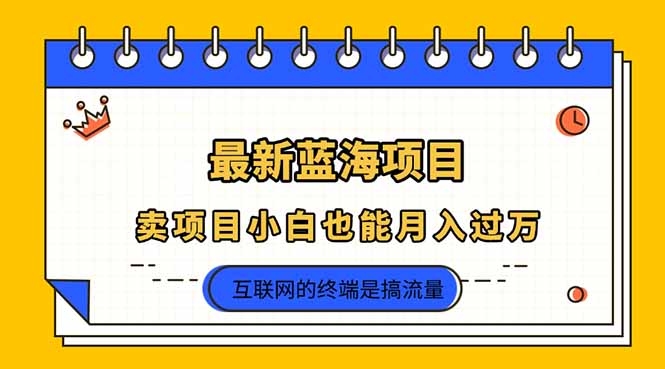 (14289期)2025年最新蓝海项目,卖项目小白也能月入过万-任性资源网