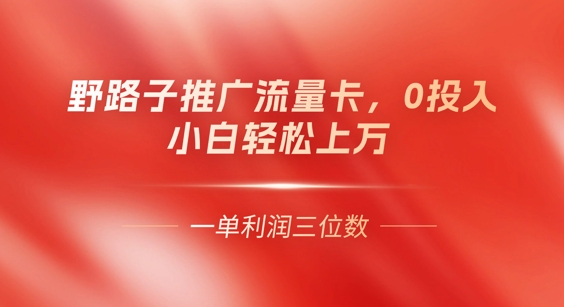 0门槛推广流量卡,一单收益上百,0投入,小白月入过W-任性资源网
