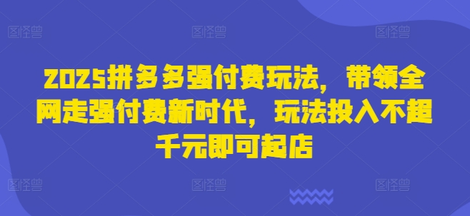2025拼多多强付费玩法,带领全网走强付费新时代,玩法投入不超千元即可起店-任性资源网