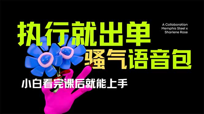 (14170期)爆火全网的开车导航骚气语音包,只要执行就出单,小白看完课程就能实操...-任性资源网