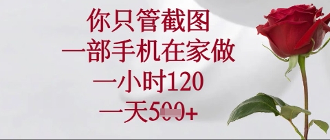 你只管截图,一部手机在家操作,一小时120.一天5张【揭秘】-任性资源网