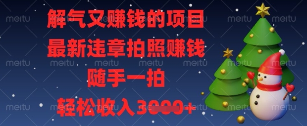 解气又挣钱的项目,最新违章拍照挣钱,随手一拍,轻松收入数张【揭秘】-任性资源网